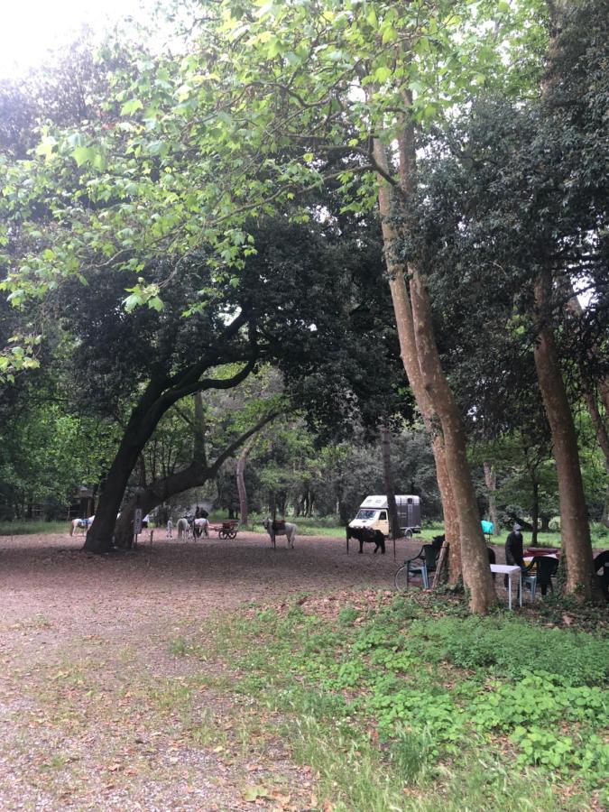 维亚雷焦Riva Dei Fiori公寓 外观 照片