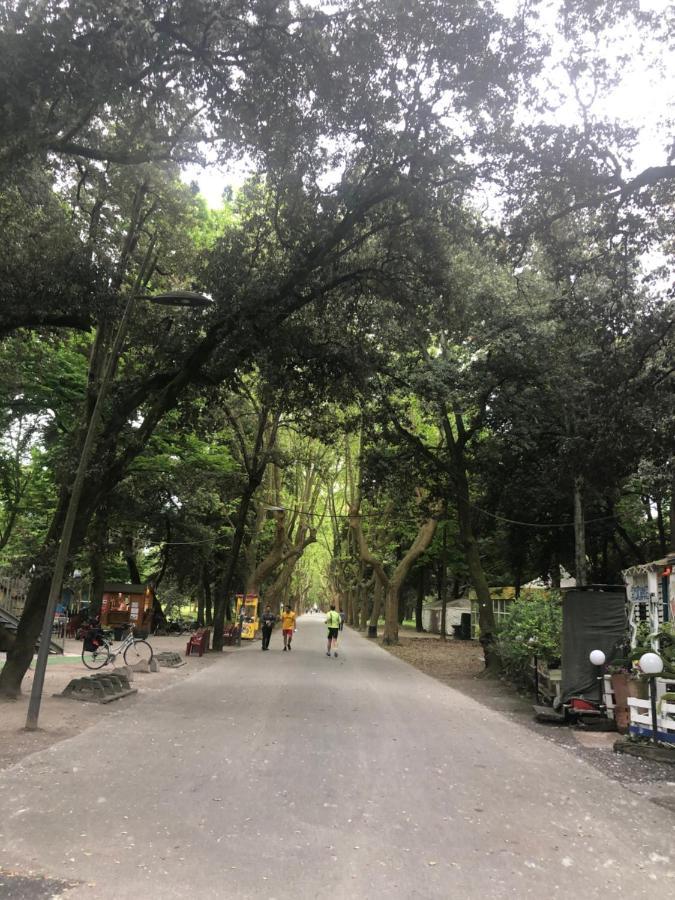 维亚雷焦Riva Dei Fiori公寓 外观 照片